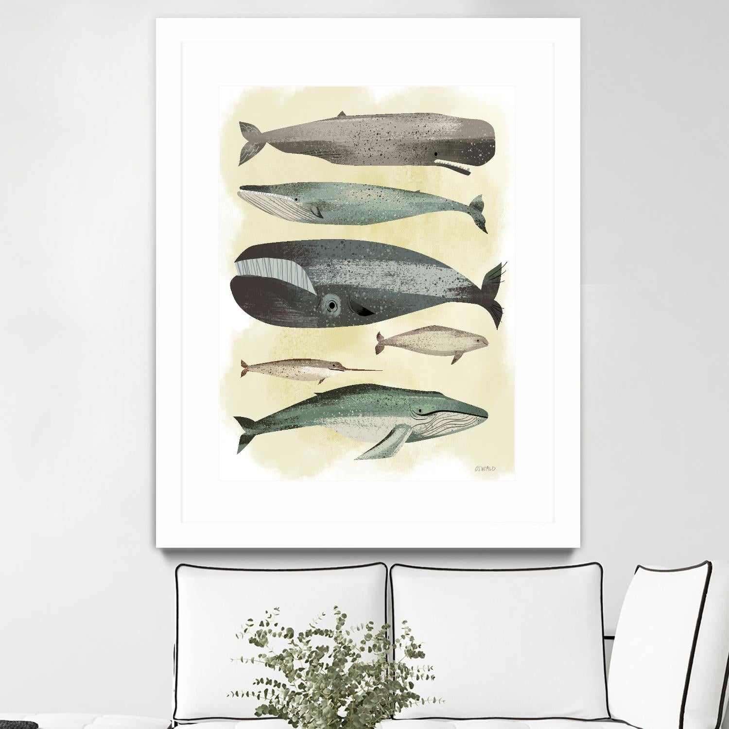 Whales by Pete Oswald on GIANT ART - multicolor animals