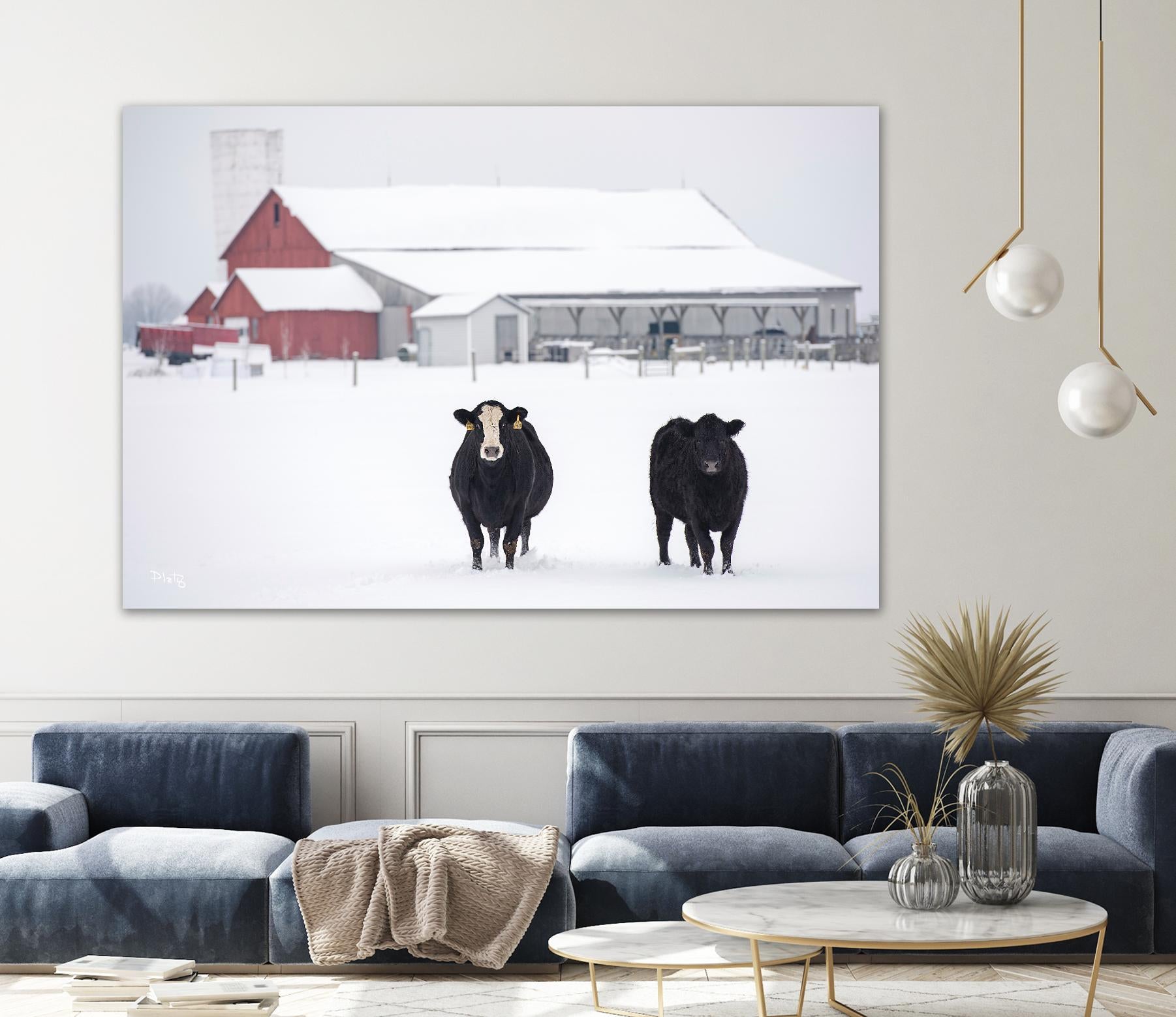 Cookies and Cream by Matthew Platz on GIANT ART - multicolor photography; animals