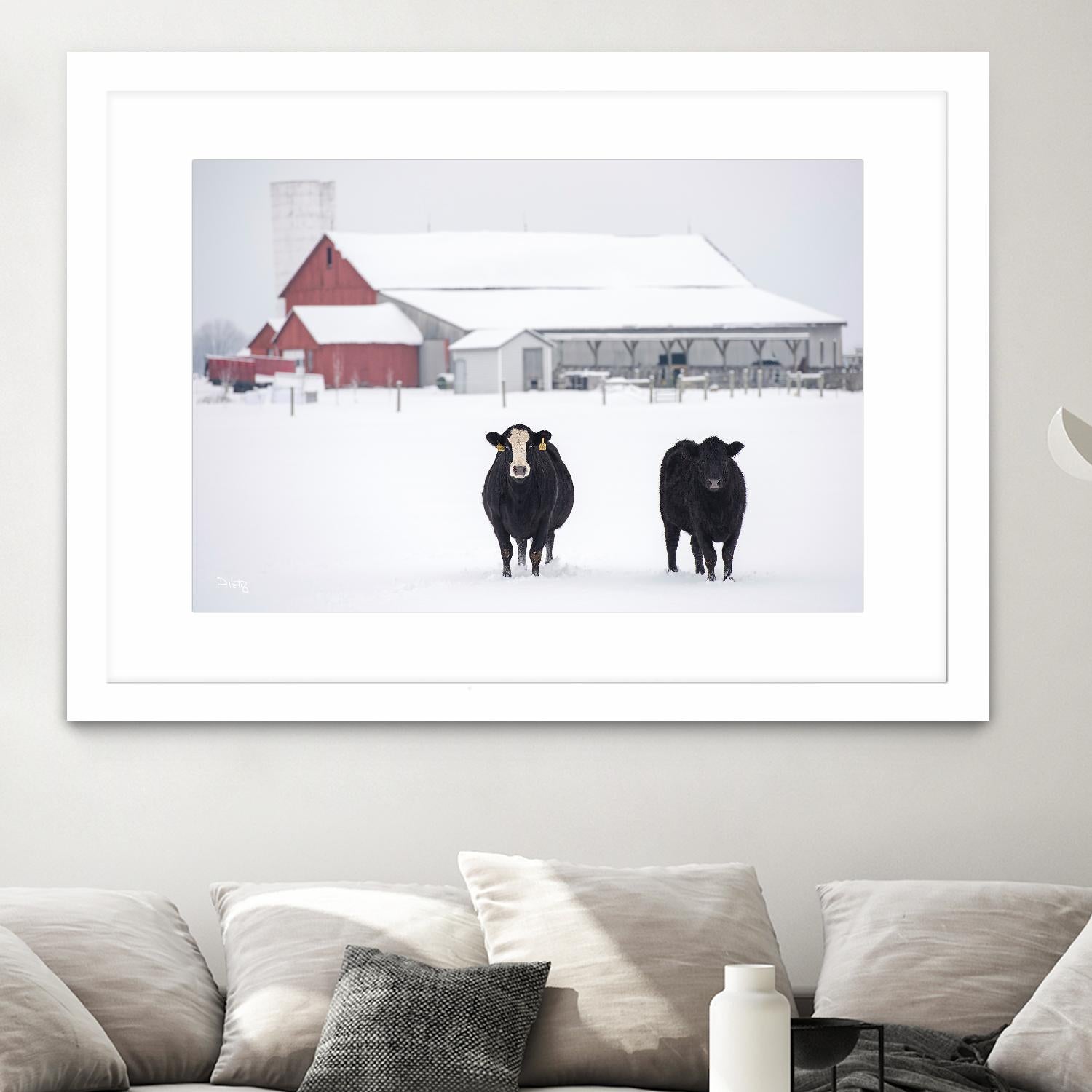 Cookies and Cream by Matthew Platz on GIANT ART - multicolor photography; animals