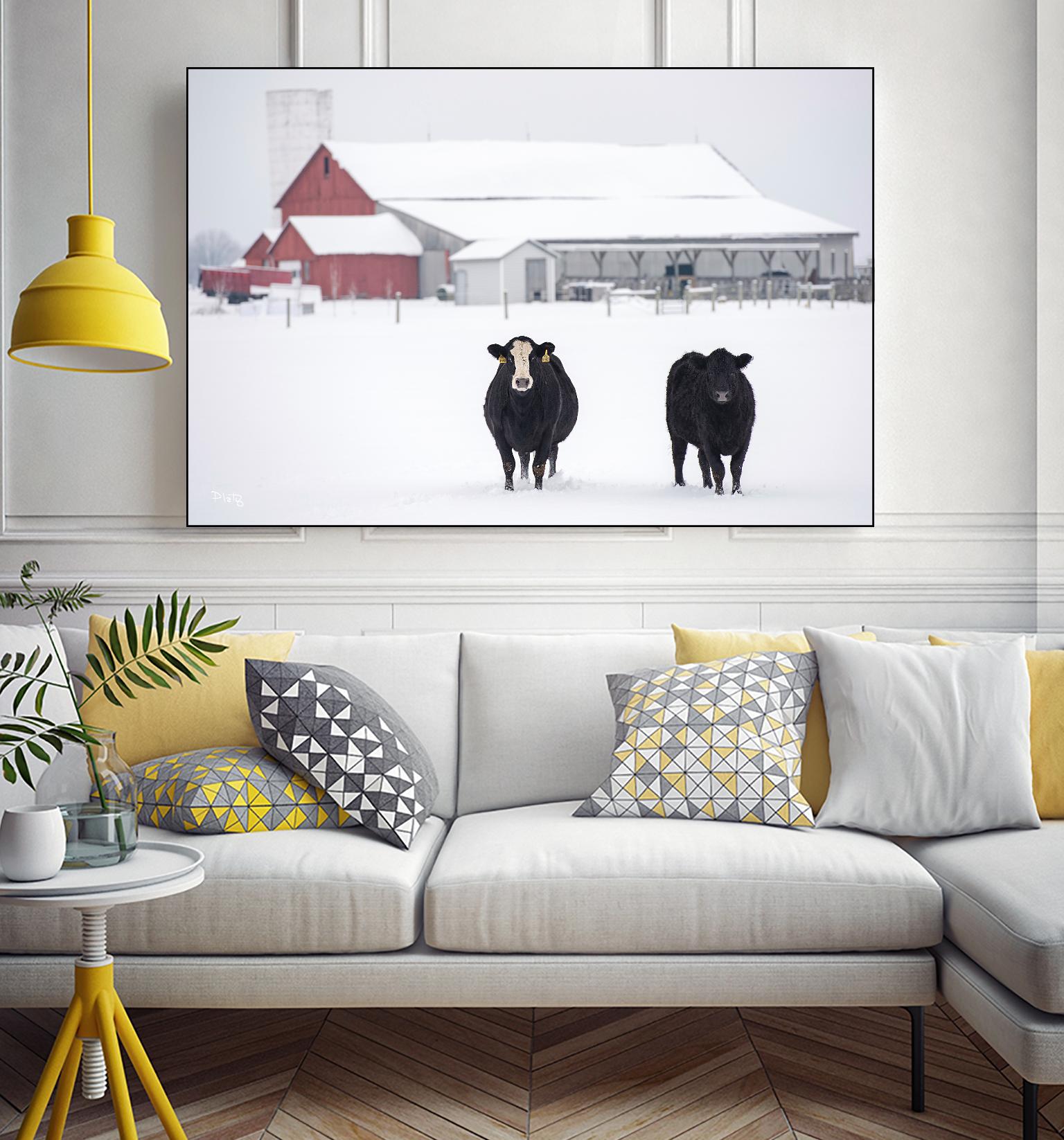 Cookies and Cream by Matthew Platz on GIANT ART - multicolor photography; animals