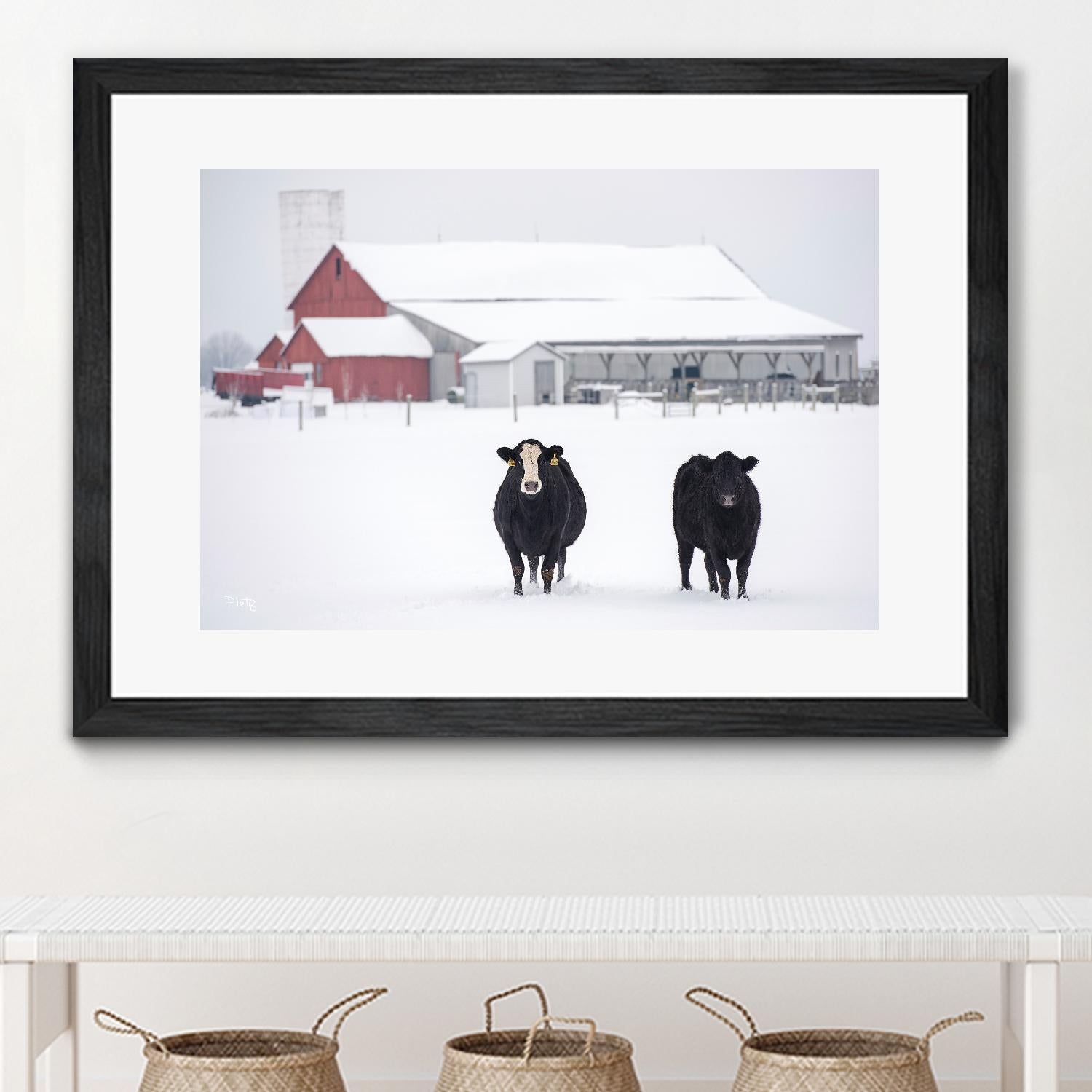 Cookies and Cream by Matthew Platz on GIANT ART - multicolor photography; animals