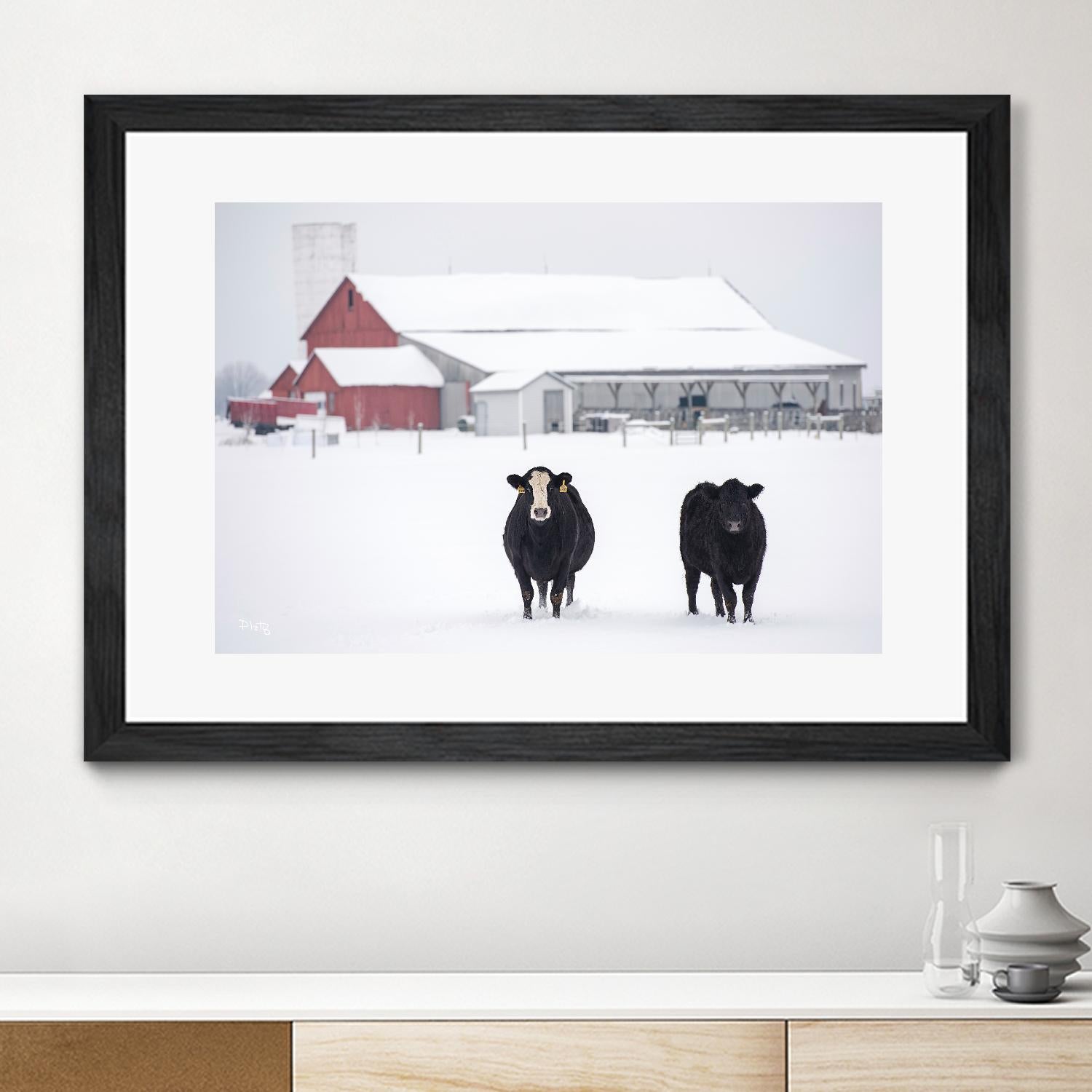 Cookies and Cream by Matthew Platz on GIANT ART - multicolor photography; animals