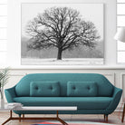 Old Man Winter by Matthew Platz on GIANT ART - multicolor photography; landscapes