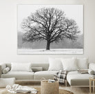 Old Man Winter by Matthew Platz on GIANT ART - multicolor photography; landscapes