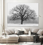 Old Man Winter by Matthew Platz on GIANT ART - multicolor photography; landscapes