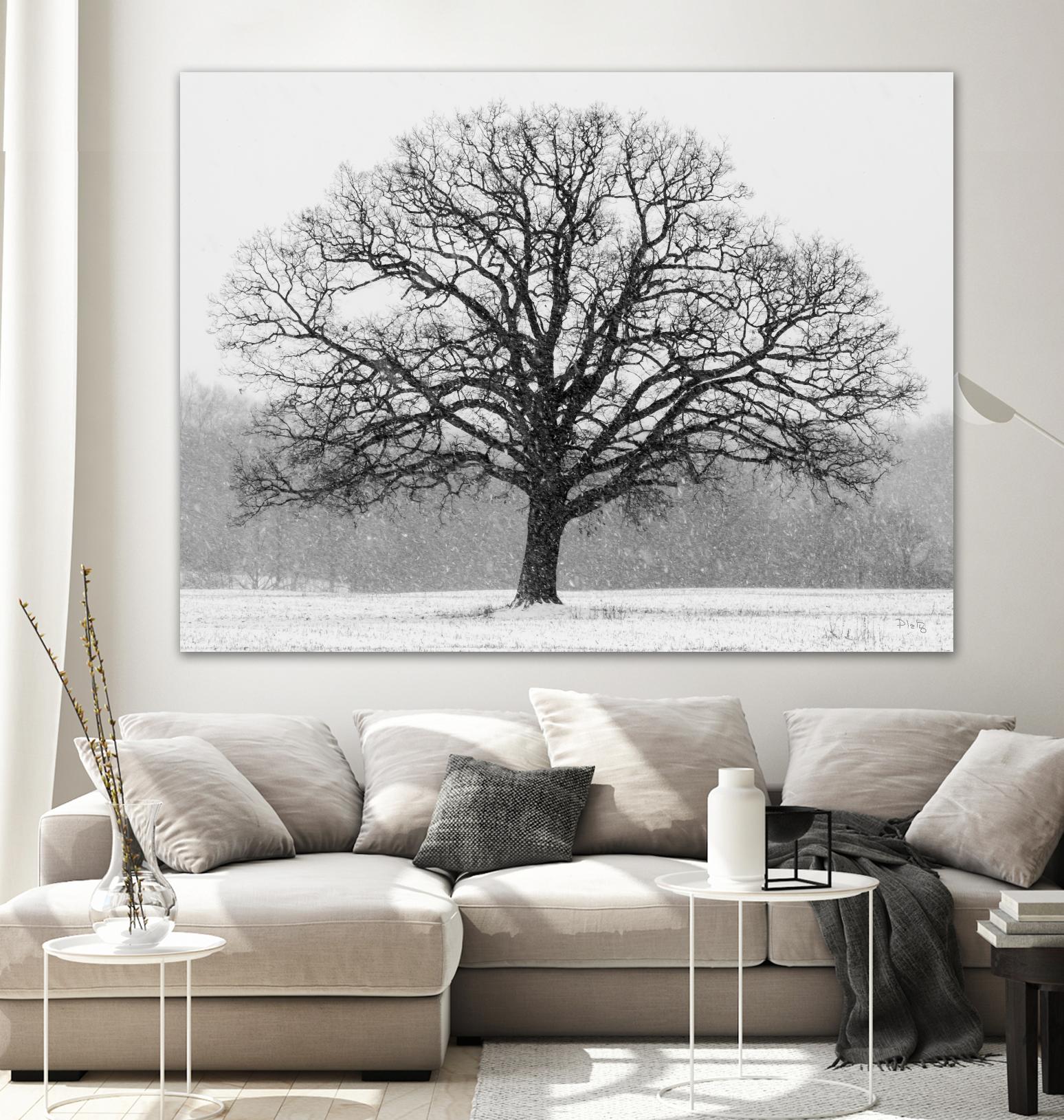 Old Man Winter by Matthew Platz on GIANT ART - multicolor photography; landscapes