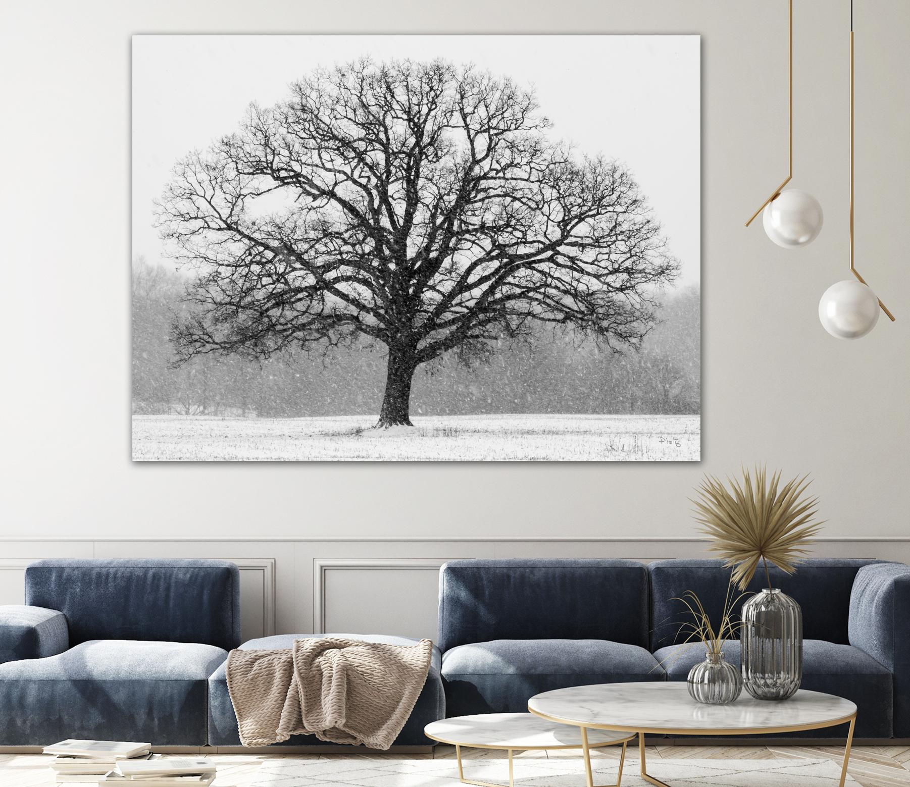 Old Man Winter by Matthew Platz on GIANT ART - multicolor photography; landscapes