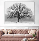 Old Man Winter by Matthew Platz on GIANT ART - multicolor photography; landscapes