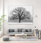 Old Man Winter by Matthew Platz on GIANT ART - multicolor photography; landscapes