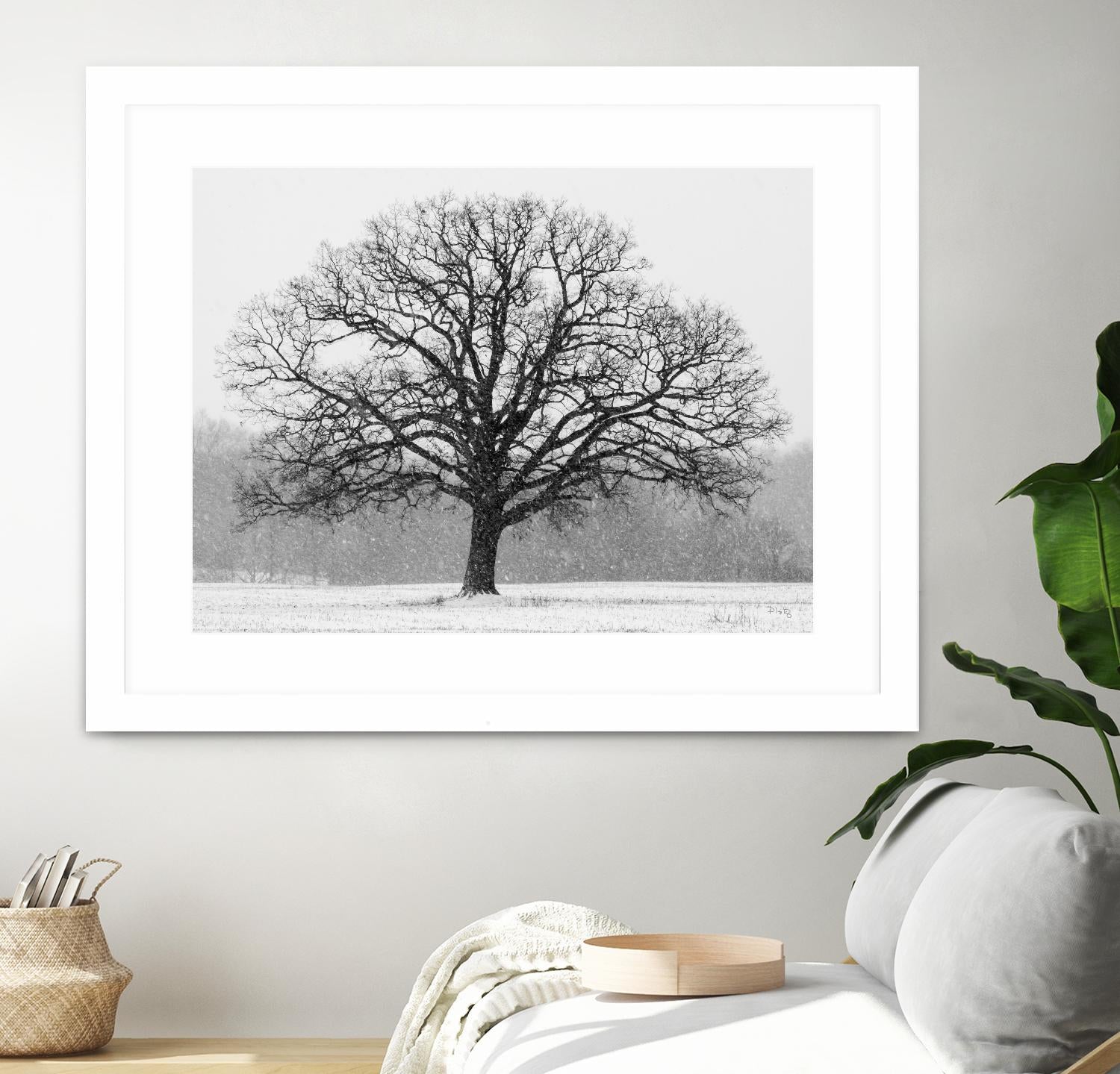 Old Man Winter by Matthew Platz on GIANT ART - multicolor photography; landscapes