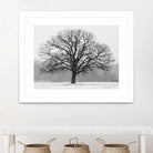 Old Man Winter by Matthew Platz on GIANT ART - multicolor photography; landscapes