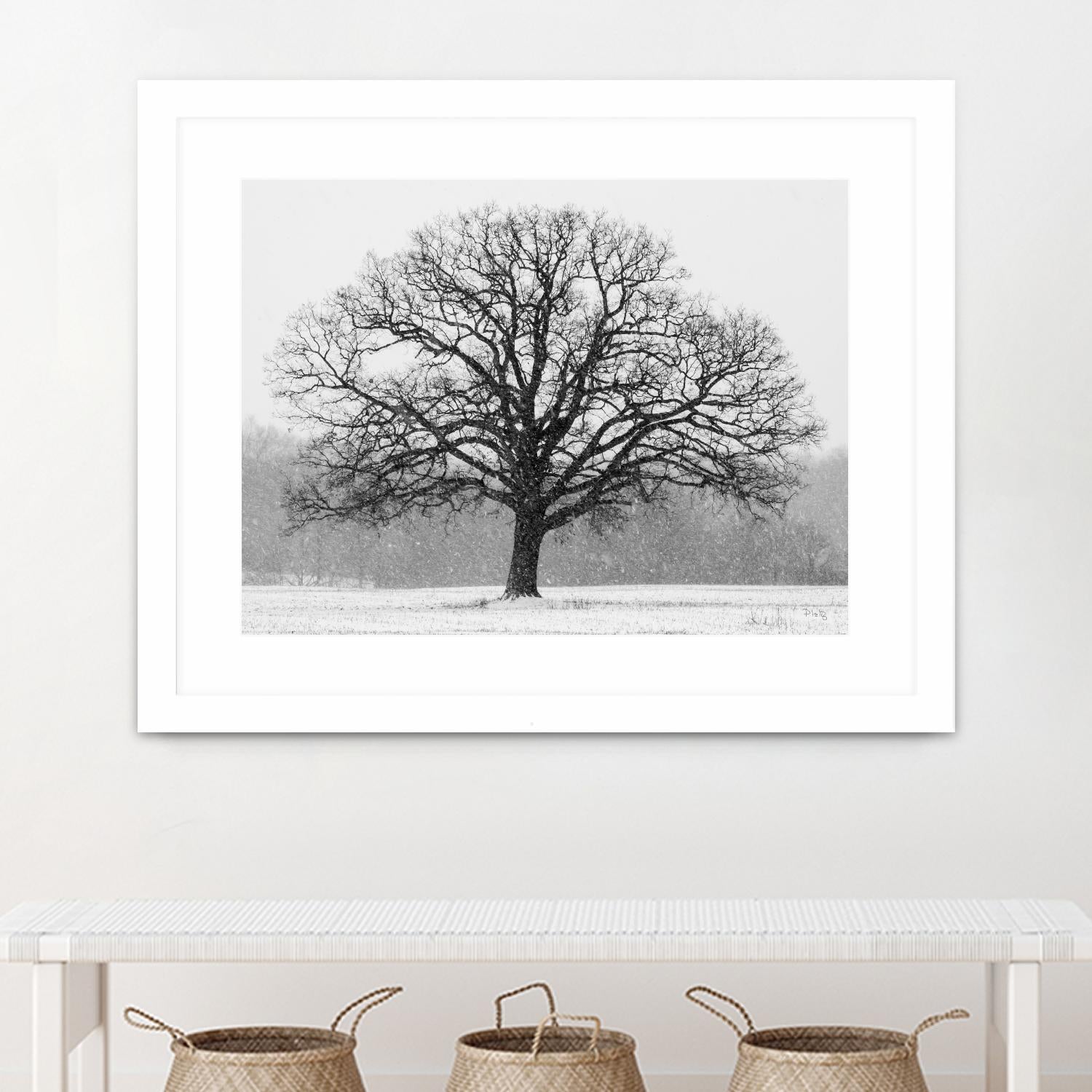 Old Man Winter by Matthew Platz on GIANT ART - multicolor photography; landscapes