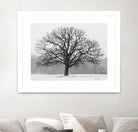 Old Man Winter by Matthew Platz on GIANT ART - multicolor photography; landscapes