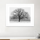 Old Man Winter by Matthew Platz on GIANT ART - multicolor photography; landscapes