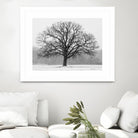 Old Man Winter by Matthew Platz on GIANT ART - multicolor photography; landscapes