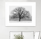 Old Man Winter by Matthew Platz on GIANT ART - multicolor photography; landscapes