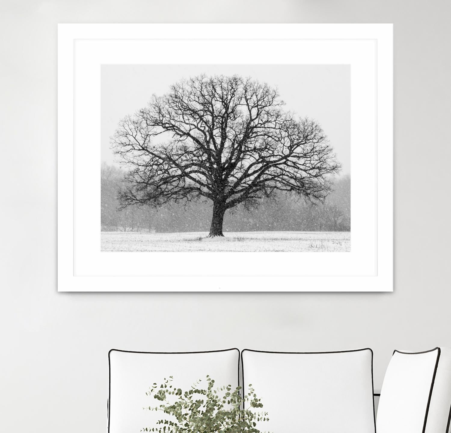 Old Man Winter by Matthew Platz on GIANT ART - multicolor photography; landscapes