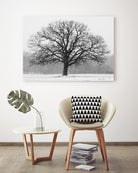 Old Man Winter by Matthew Platz on GIANT ART - multicolor photography; landscapes