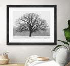 Old Man Winter by Matthew Platz on GIANT ART - multicolor photography; landscapes