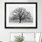 Old Man Winter by Matthew Platz on GIANT ART - multicolor photography; landscapes