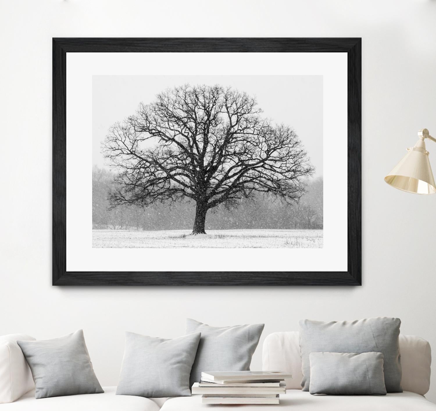 Old Man Winter by Matthew Platz on GIANT ART - multicolor photography; landscapes