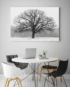 Old Man Winter by Matthew Platz on GIANT ART - multicolor photography; landscapes