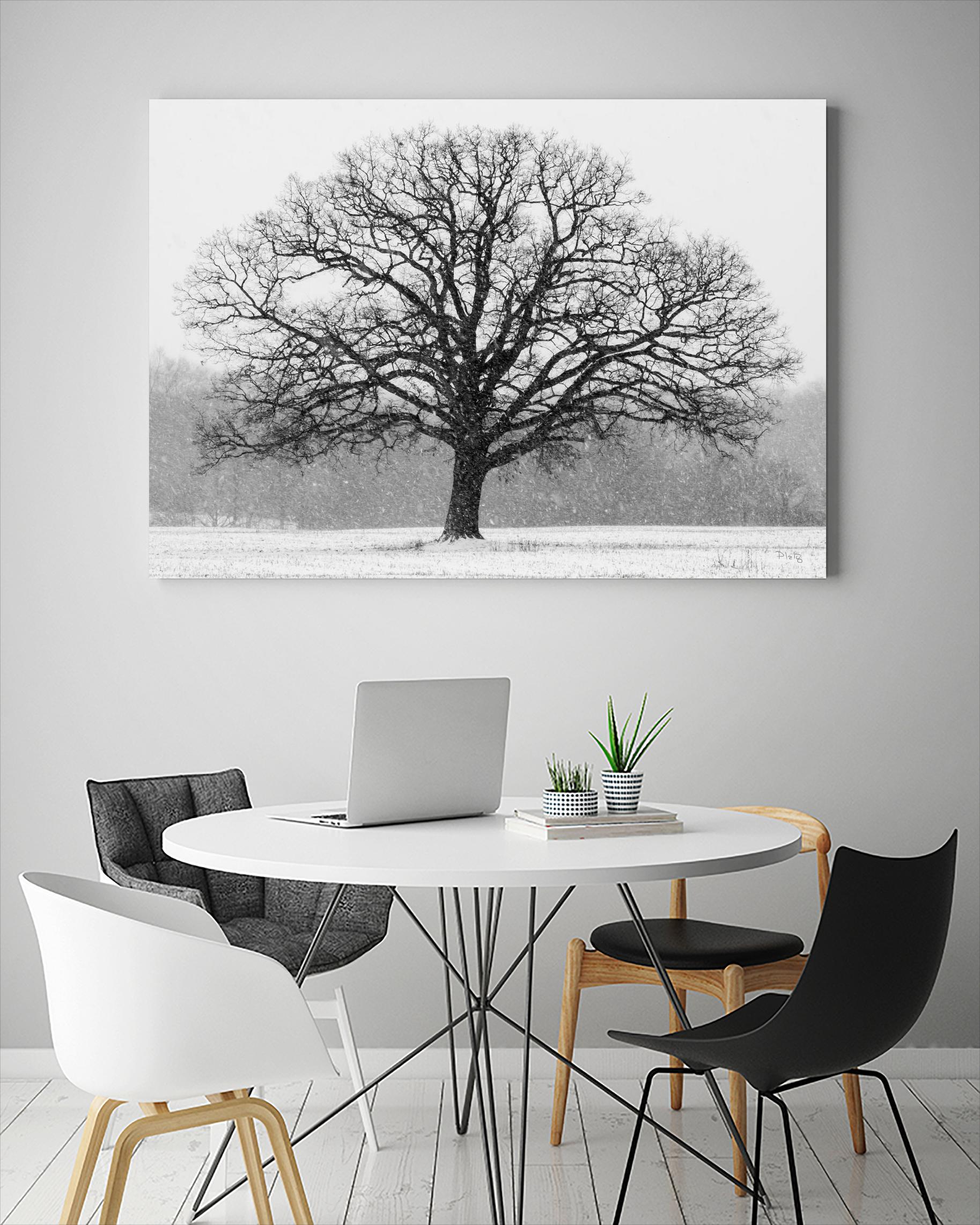 Old Man Winter by Matthew Platz on GIANT ART - multicolor photography; landscapes