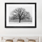 Old Man Winter by Matthew Platz on GIANT ART - multicolor photography; landscapes