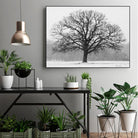 Old Man Winter by Matthew Platz on GIANT ART - multicolor photography; landscapes