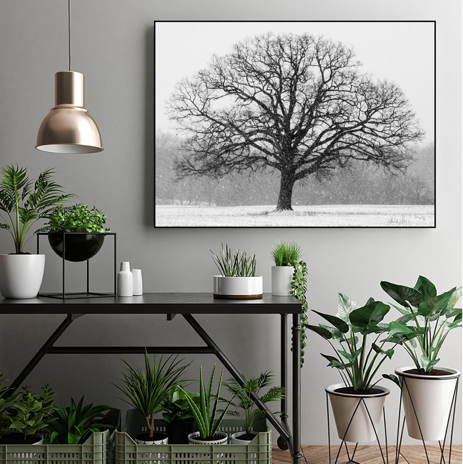 Old Man Winter by Matthew Platz on GIANT ART - multicolor photography; landscapes