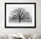 Old Man Winter by Matthew Platz on GIANT ART - multicolor photography; landscapes