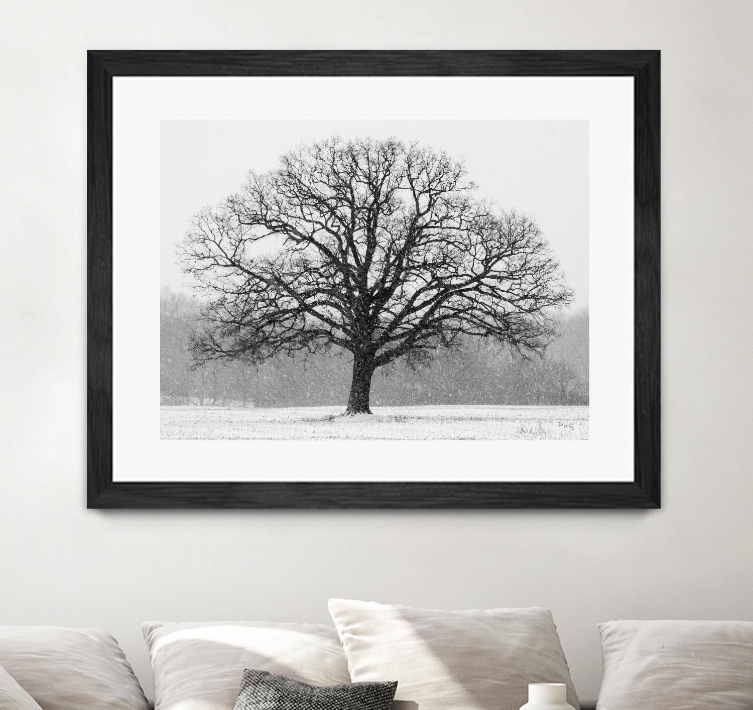 Old Man Winter by Matthew Platz on GIANT ART - multicolor photography; landscapes