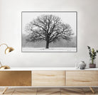 Old Man Winter by Matthew Platz on GIANT ART - multicolor photography; landscapes