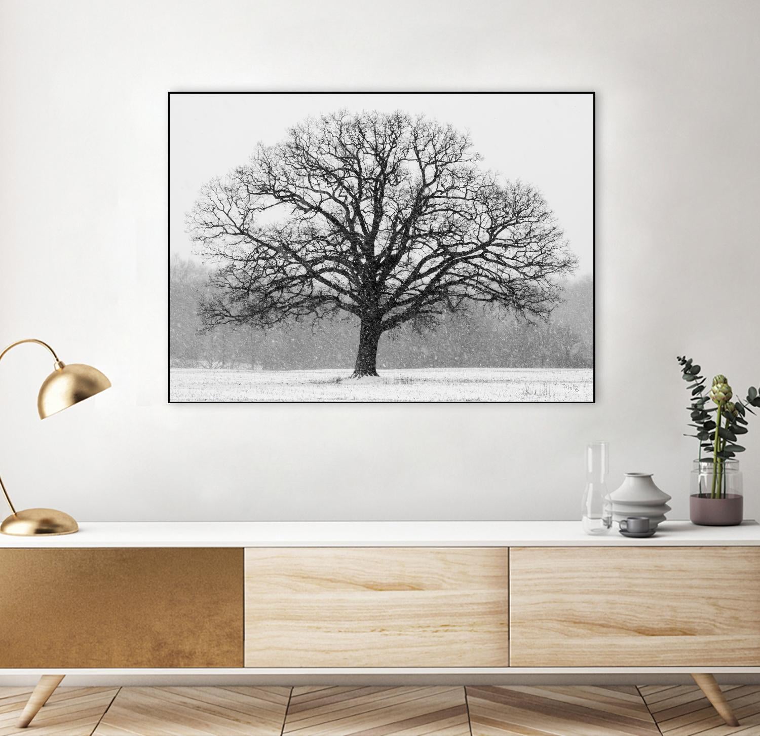 Old Man Winter by Matthew Platz on GIANT ART - multicolor photography; landscapes