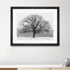 Old Man Winter by Matthew Platz on GIANT ART - multicolor photography; landscapes