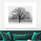 Old Man Winter by Matthew Platz on GIANT ART - multicolor photography; landscapes