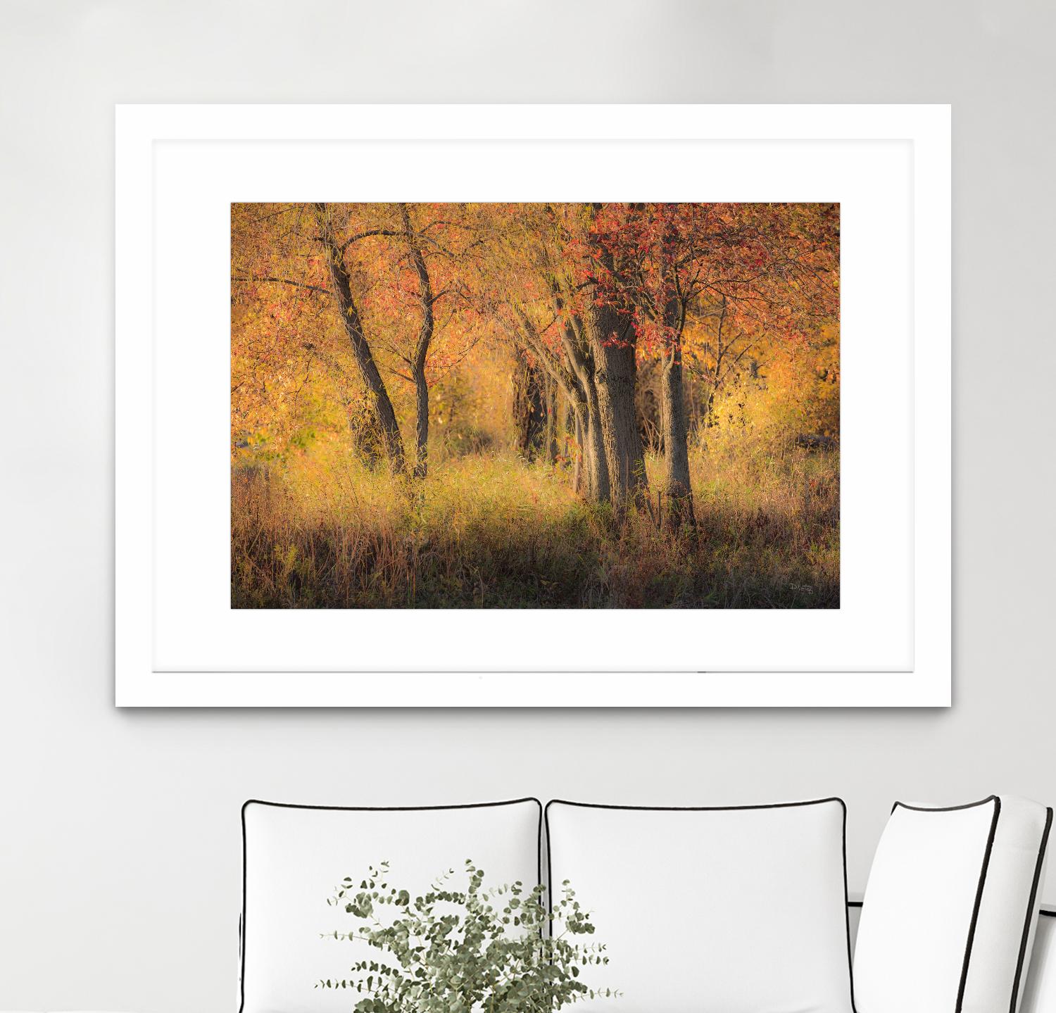 The Other Side by Matthew Platz on GIANT ART - multicolor photography; landscapes
