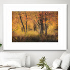 The Other Side by Matthew Platz on GIANT ART - multicolor photography; landscapes