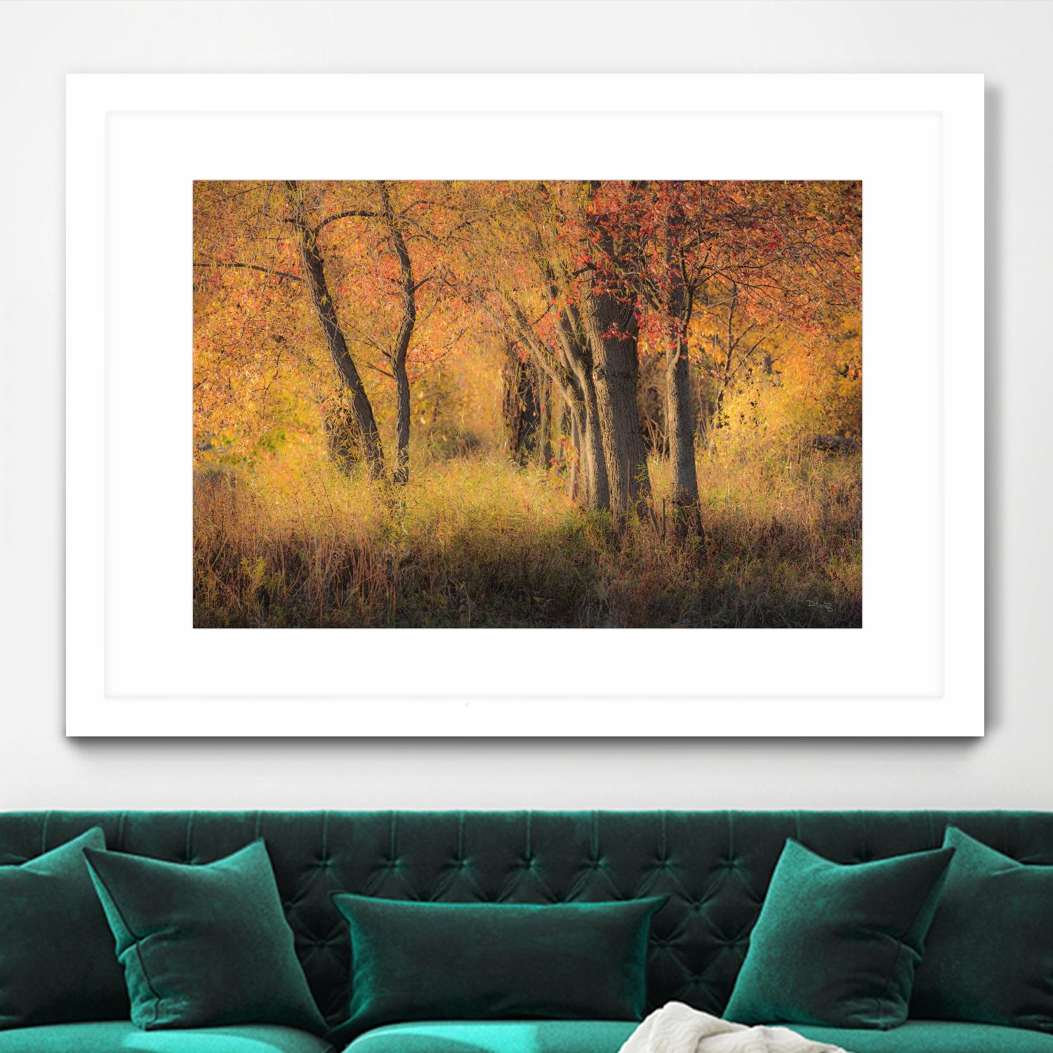 The Other Side by Matthew Platz on GIANT ART - multicolor photography; landscapes