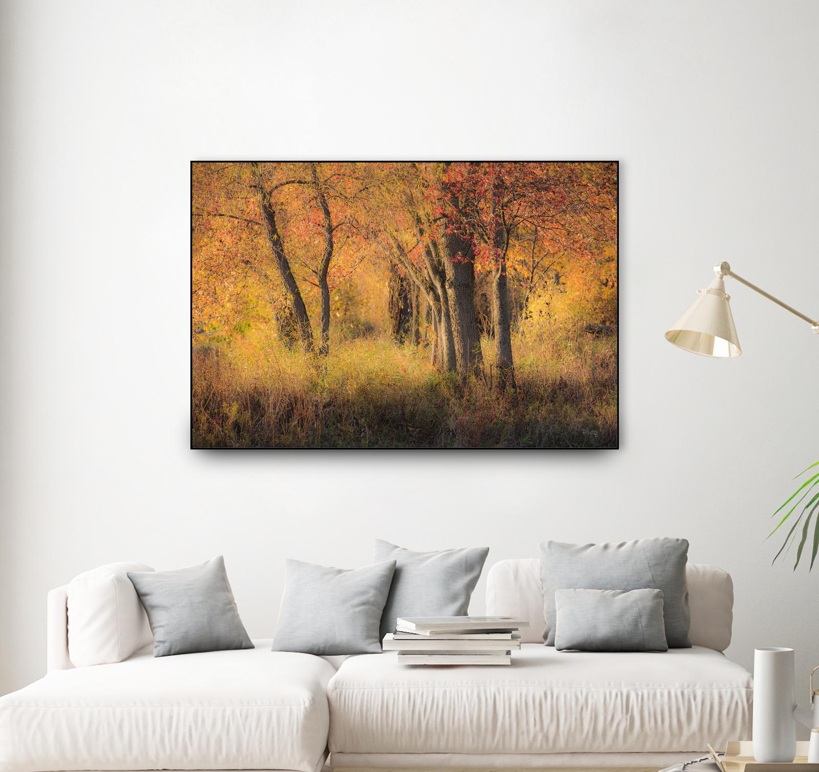 The Other Side by Matthew Platz on GIANT ART - multicolor photography; landscapes