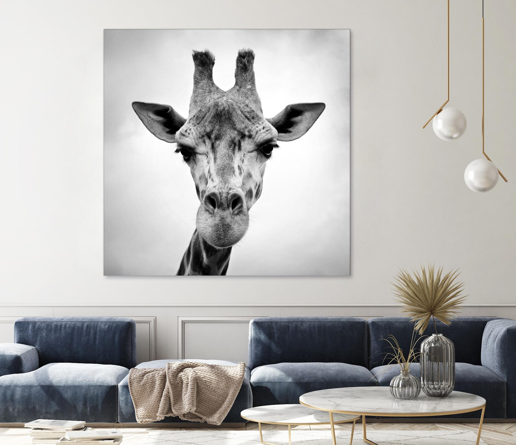 Giraffe by PhotoINC Studio on GIANT ART - white animals
