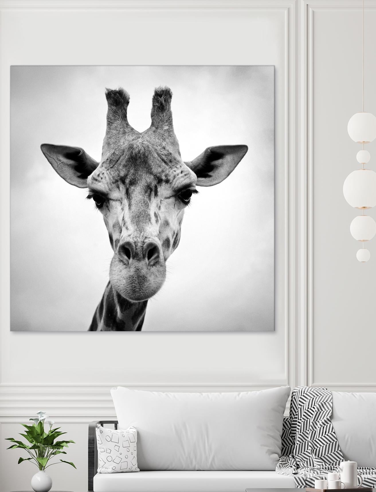 Giraffe by PhotoINC Studio on GIANT ART - white animals