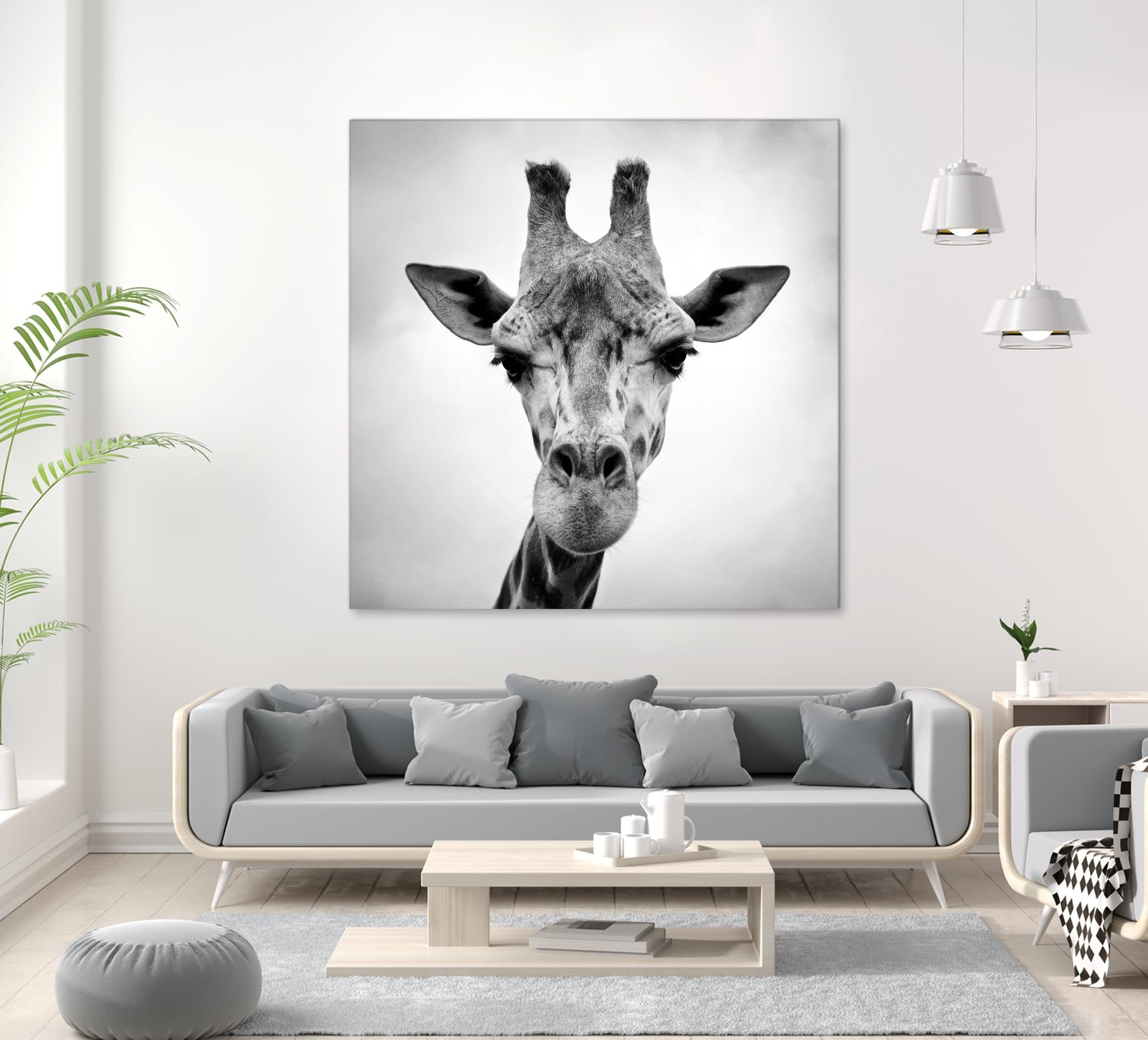 Giraffe by PhotoINC Studio on GIANT ART - white animals