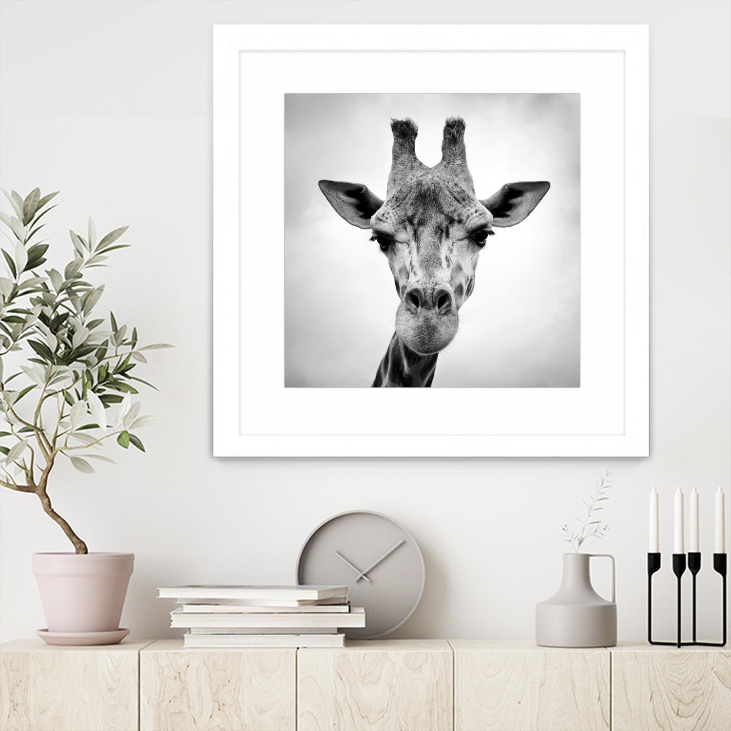 Giraffe by PhotoINC Studio on GIANT ART - white animals