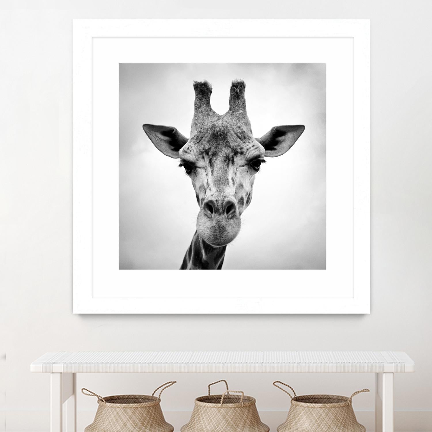 Giraffe by PhotoINC Studio on GIANT ART - white animals