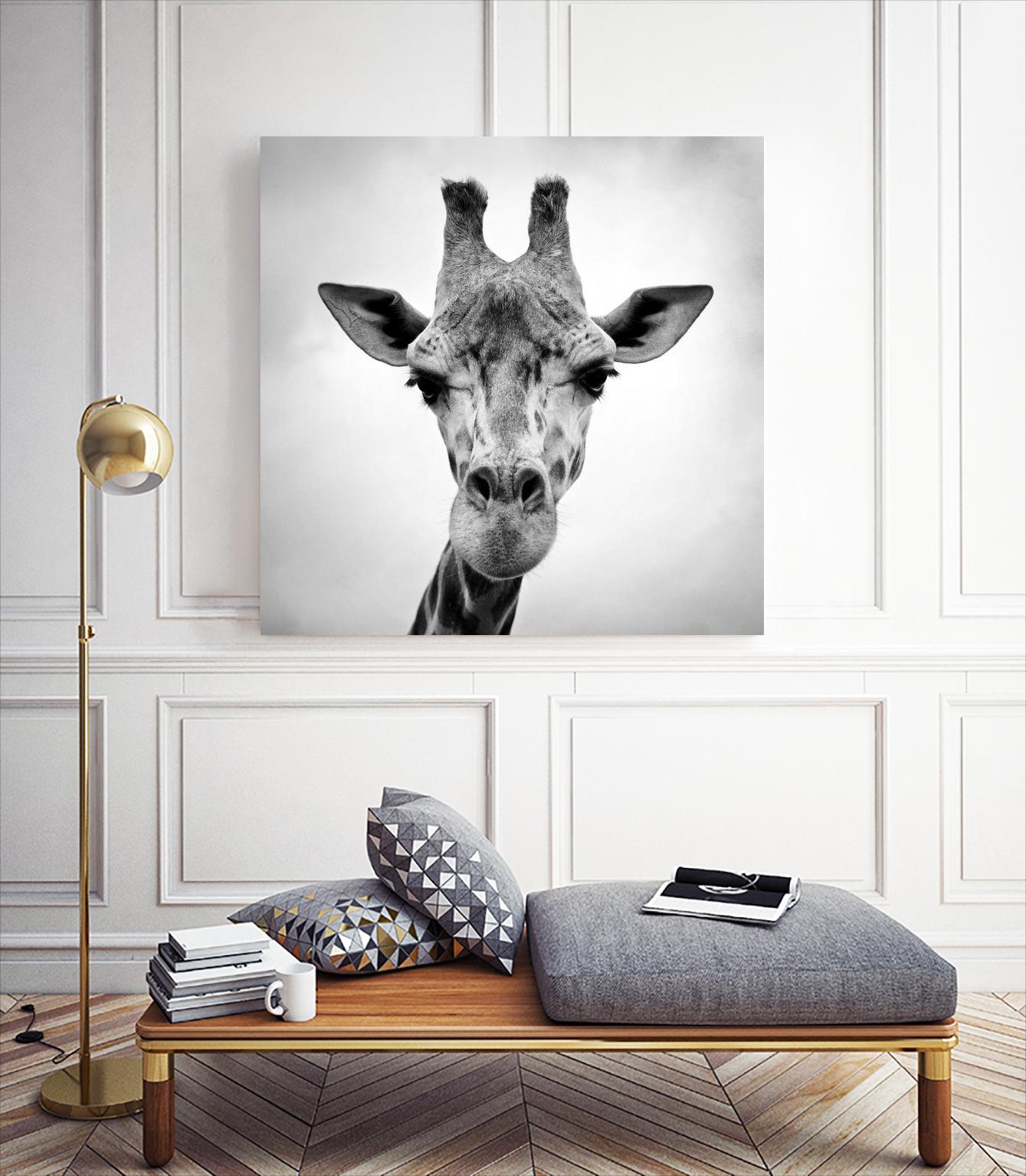 Giraffe by PhotoINC Studio on GIANT ART - white animals