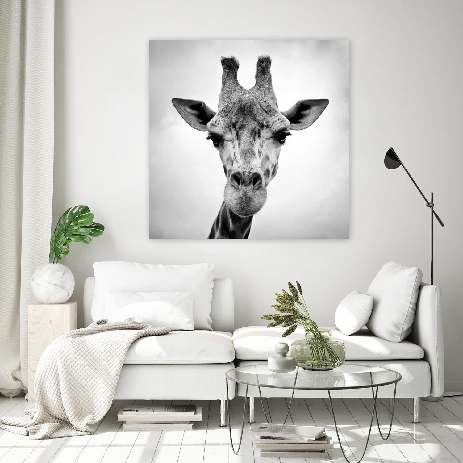 Giraffe by PhotoINC Studio on GIANT ART - white animals