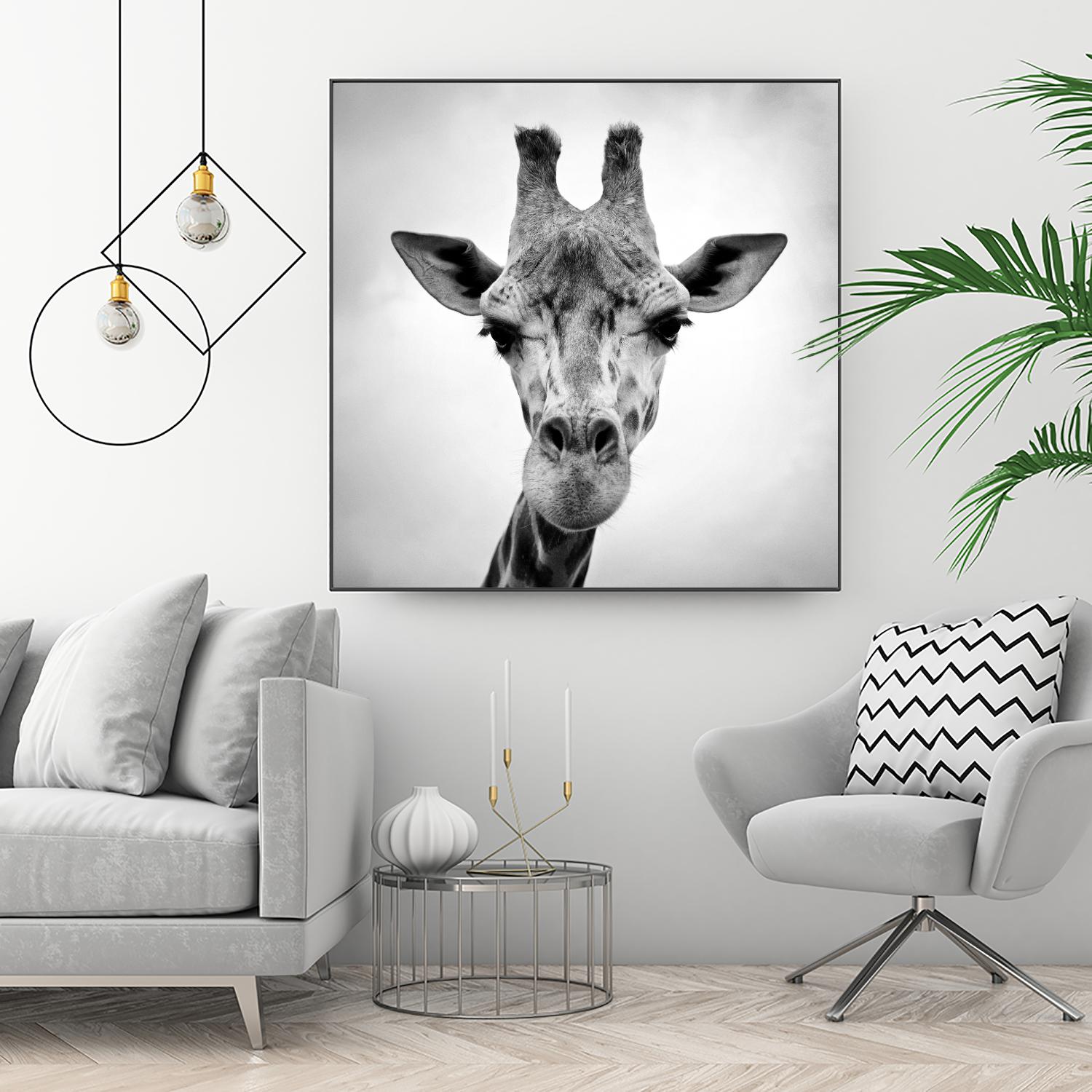 Giraffe by PhotoINC Studio on GIANT ART - white animals