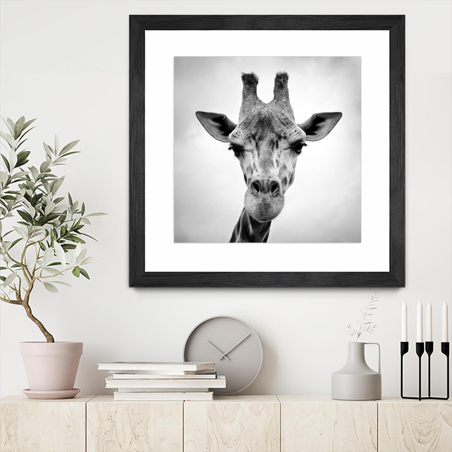 Giraffe by PhotoINC Studio on GIANT ART - white animals
