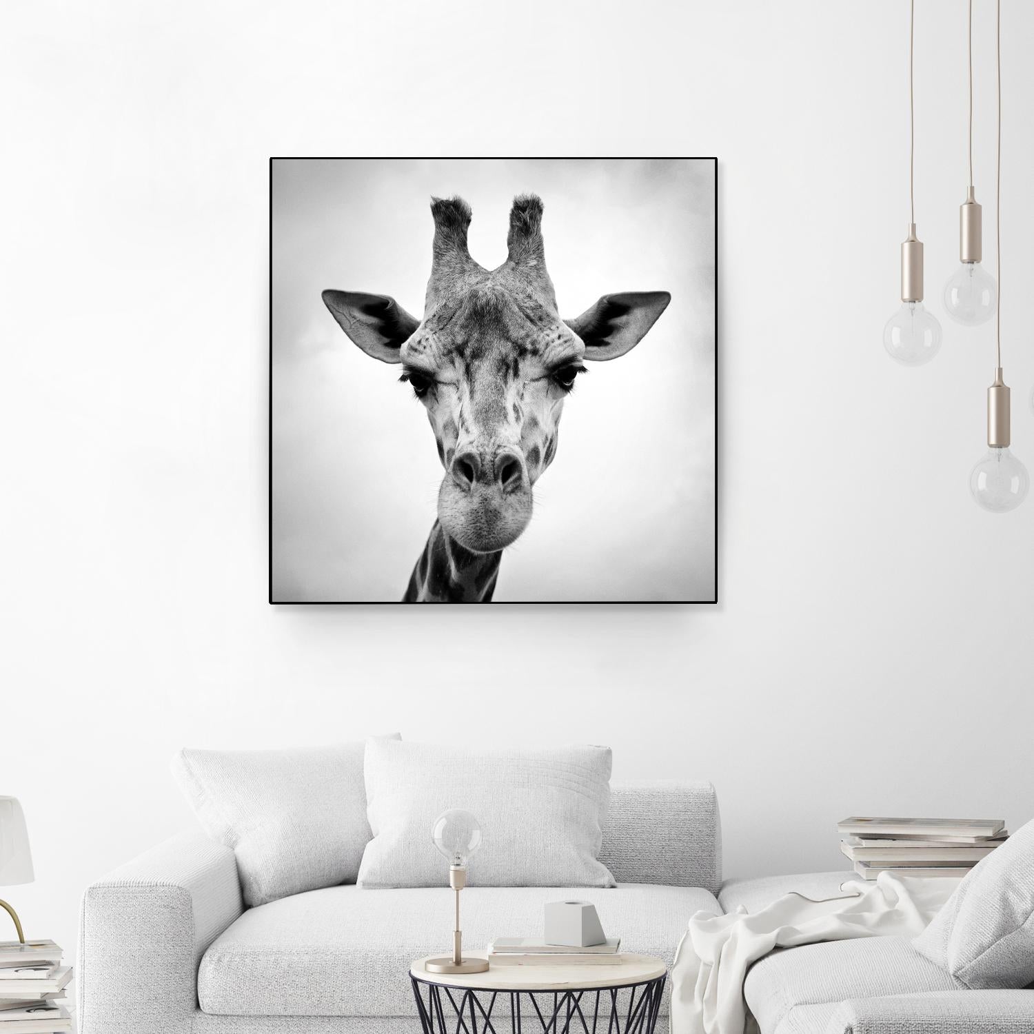 Giraffe by PhotoINC Studio on GIANT ART - white animals
